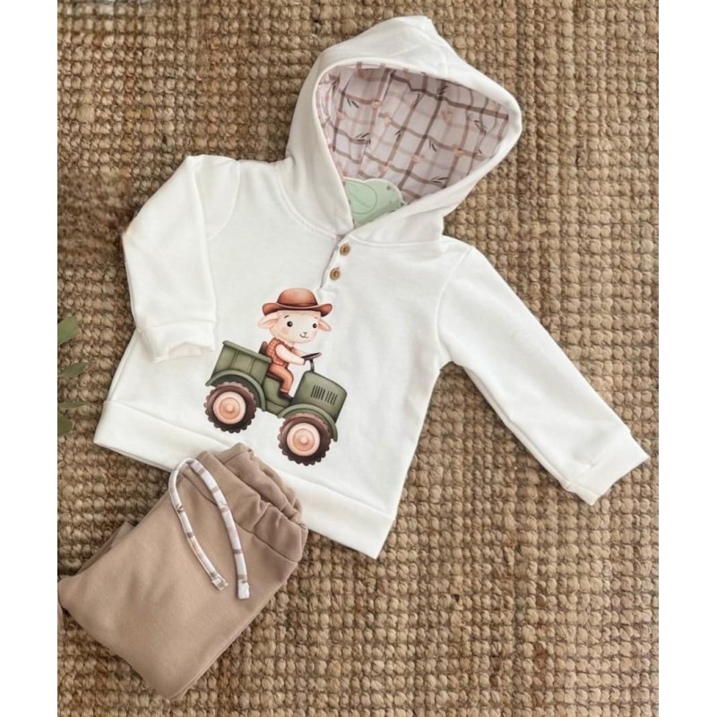 Conjunto granja niño