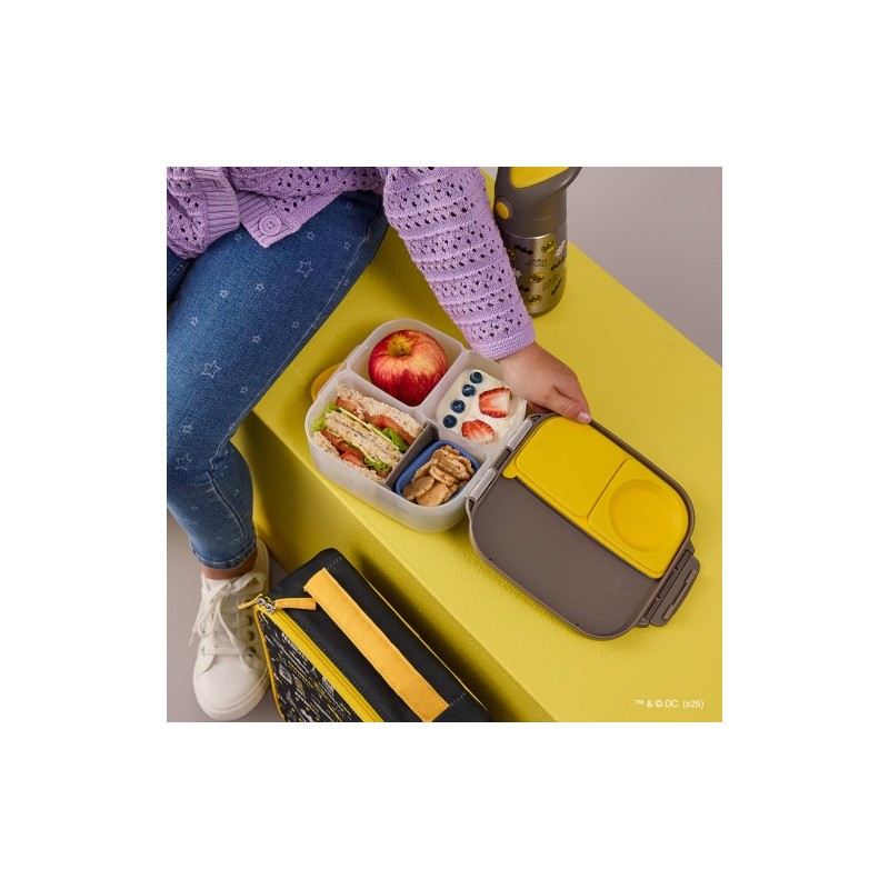 Mini lunchbox-Batman