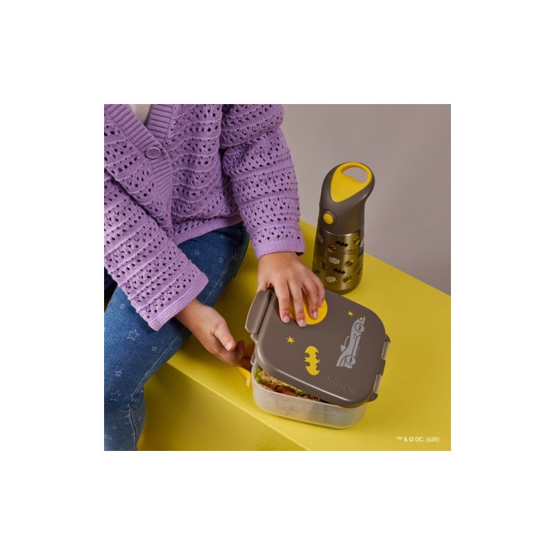 Mini lunchbox-Batman