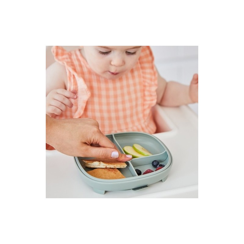 Plato 2 en 1 con ventosa y compartimentos extraíbles - Sage