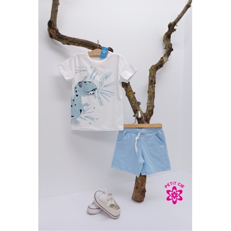 Conjunto niño dino rama