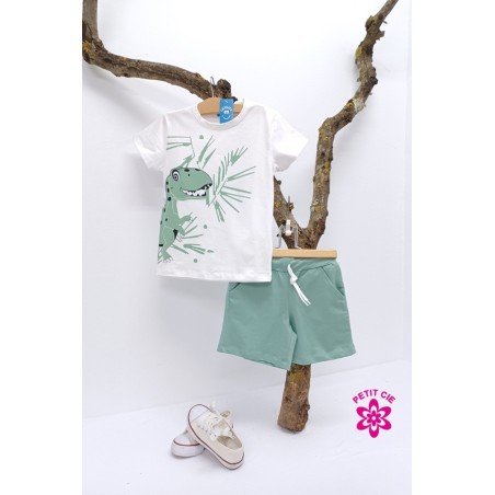 Conjunto niño dino rama